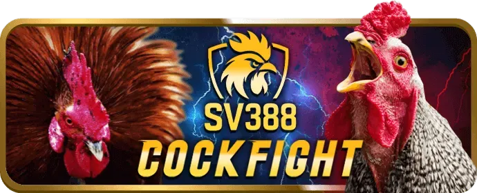 Cá cược Quần Vợt tại 44win55